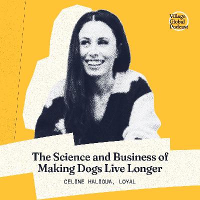 Celine Halioua On The Science and Business of Making Dogs Live Longer Celine Halioua On The Science and Business of Making Dogs Live Longer