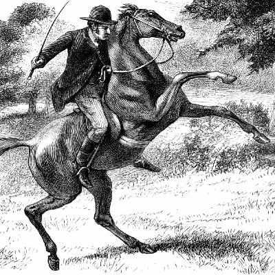 Muss man Pferde nicht manchmal doch bestrafen?? Muss man Pferde nicht manchmal doch bestrafen??