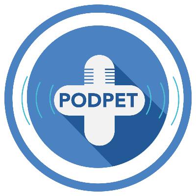 UTI Veterinária por dentro: quando seu pet precisa de terapia intensiva?