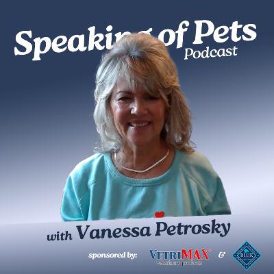 How to Recover Lost Pets with Remi's Pet Recovery | SOP ep. 56 - Vanessa Petrosky