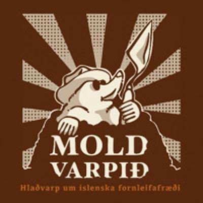 3. Heiðnar grafir á Íslandi II: Mannabein og munir 3. Heiðnar grafir á Íslandi II: Mannabein og munir