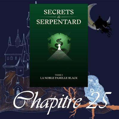 Secrets de Serpentards - Tome 1 - Chap. 25 - Joyeux Noël