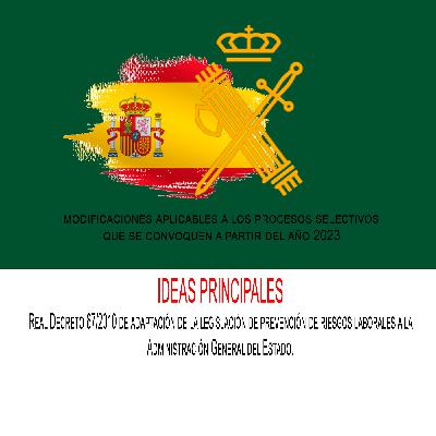 IDEAS PRINCIPALES Real Decreto 67/2010 de adaptación de la legislación de prevención de riesgos laborales a la AGE