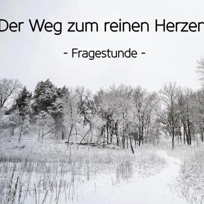 Der Weg zum reinen Herzen: Fragestunde