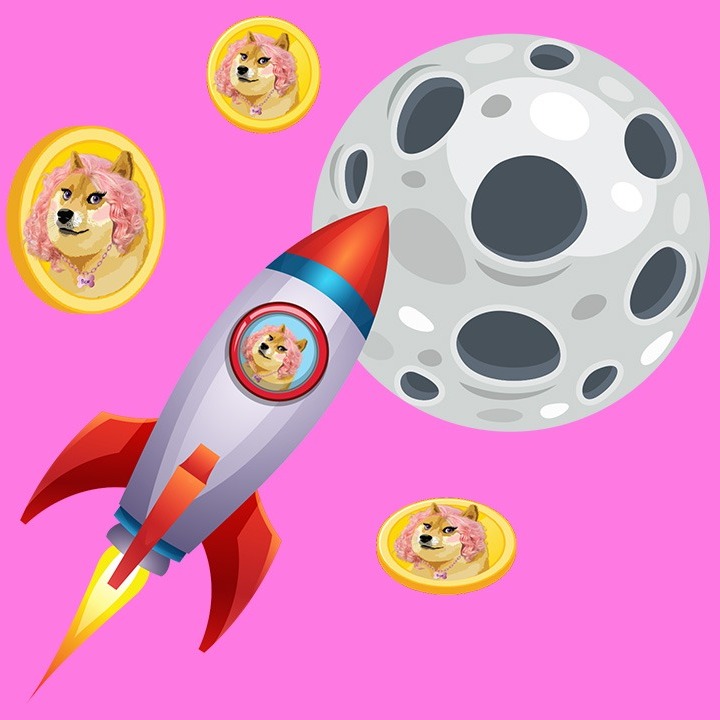 Exploring The Hype And Potential Of Bae Meme Coin