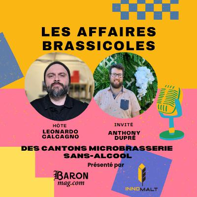Les Affaires Brassicole #498 | Des Cantons Microbrasserie : Sans-Alcool