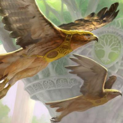 Episode 17 - Eyes in the Skies (ft Zarepath)