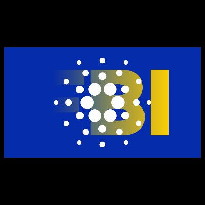 Cardano crisis: senior dev quits after Hoskinson calls in the feds