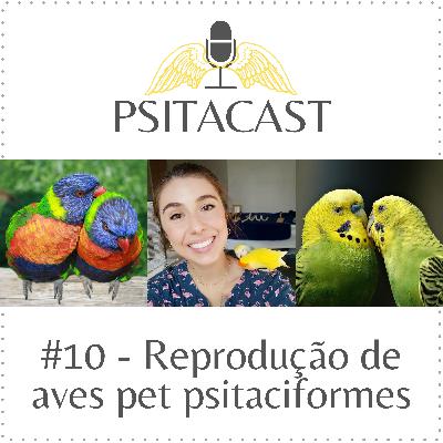 Psitacast #10 - Reprodução de aves pet psitaciformes Psitacast #10 - Reprodução de aves pet psitaciformes