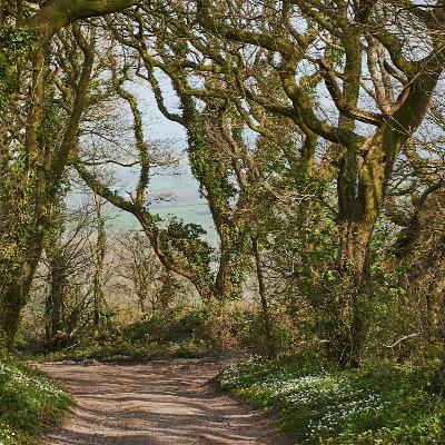 William Shakespeare - When I have seen by Time's fell hand defaced (Sonnet 64)