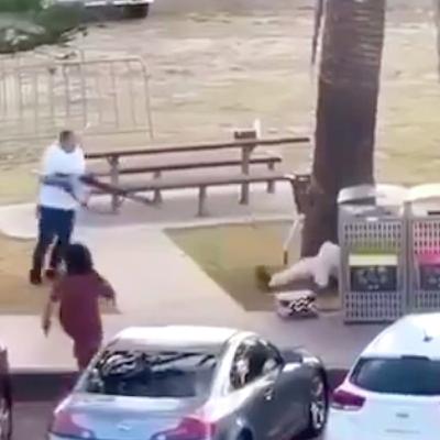 Death toll from Bondi massacre rises to 16 Death toll from Bondi massacre rises to 16