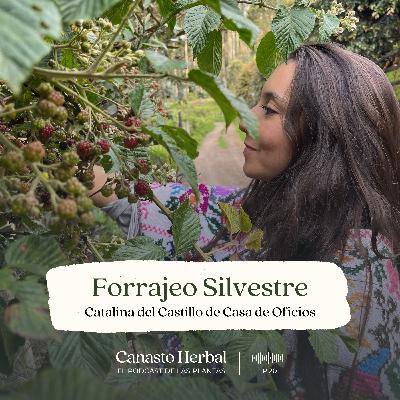 Catalina del Castillo: Plantas del altiplano y forrajeo silvestre