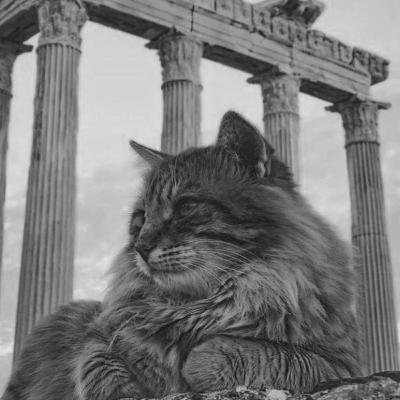 O desejo da negligência.