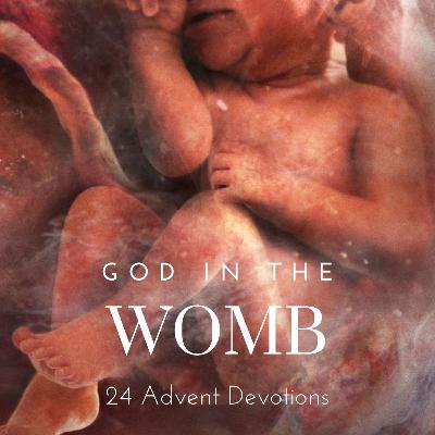 God in the Womb: Day 22 - The Massacre of the Innocents