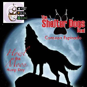 Corazon Espinado by the Shelter Dogs Band