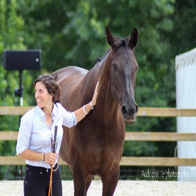 Elsa, entre exigences sportives et bien-être du cheval