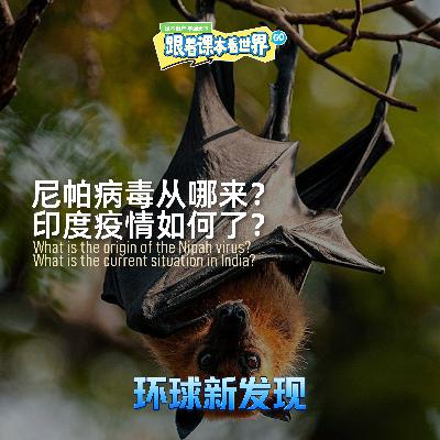 尼帕病毒从哪来?印度疫情如何了?- 2026/02 第一周 尼帕病毒从哪来?印度疫情如何了?- 2026/02 第一周