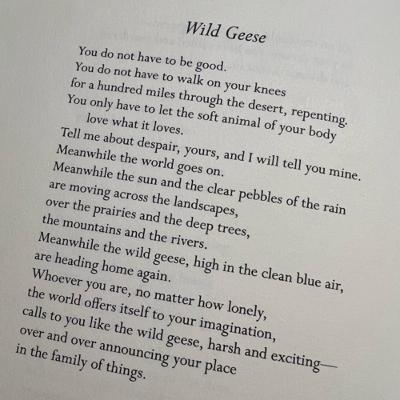 Wild Geese by Mary Oliver