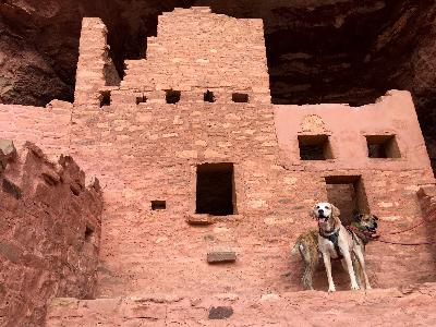 Pawcast Podcast #26 Colorado Pawcast Podcast #26 Colorado