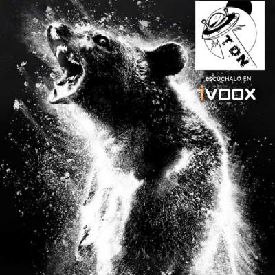 TDN 06X12: Oso Vicioso, la historia real · Maldito Cine TDN 06X12: Oso Vicioso, la historia real · Maldito Cine