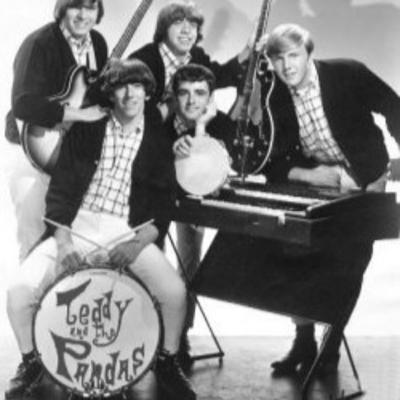 Ted Dewart & Billy Corelle: Teddy & The Pandas Interview Part One