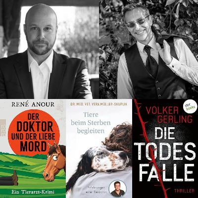 (250) Die Todesfalle: Der Doktor und der liebe Mord!