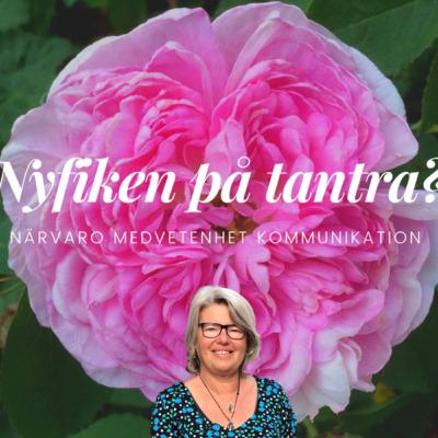 69 - Påminnelse! Beställ pdferna