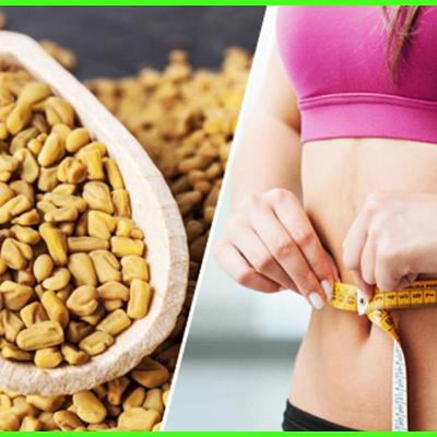 Weight loss Friendly Herbs: Fenugreek