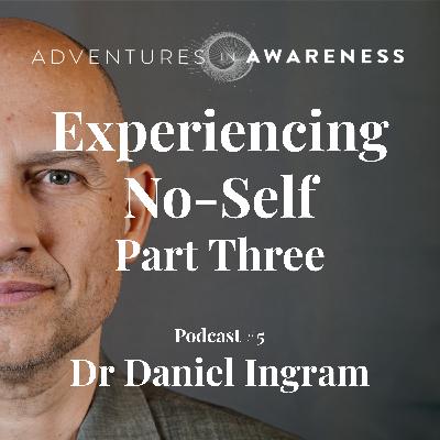 Daniel Ingram - Experiencing No Self: Part Three