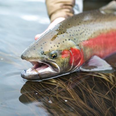 Episode 22 — An interview with environmental advocate and high school senior Asa Menlove Episode 22 — An interview with environmental advocate and high school senior Asa Menlove