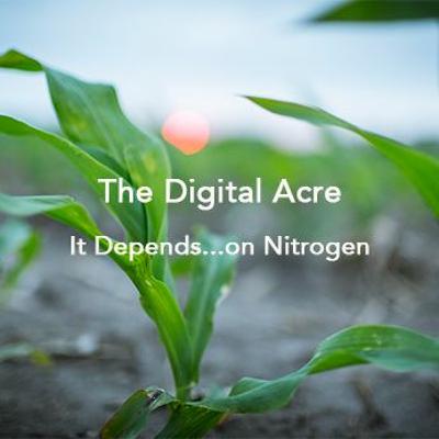 It Depends...On Nitrogen