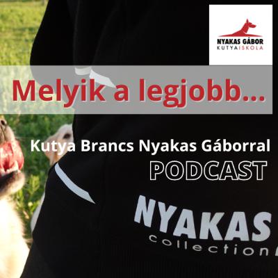 Melyik a legjobb Melyik a legjobb