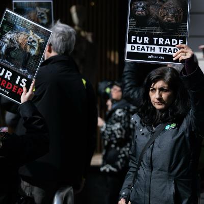 Exposing the Horrors of Animal Testing (with Dr. Alka Chandna)