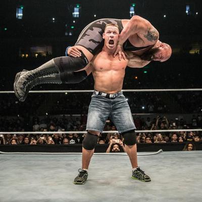 Le Assurdità del Wrestling