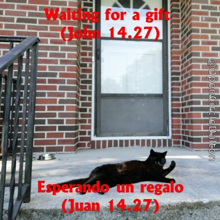 65.  Esperando un regalo episode artwork