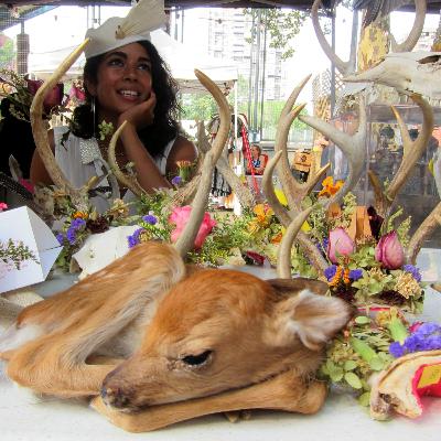 Taxidermy, with Divya Anantharaman Taxidermy, with Divya Anantharaman