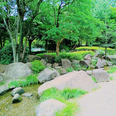 のりこ、ピアノ瞑想を語る② のりこ、ピアノ瞑想を語る②