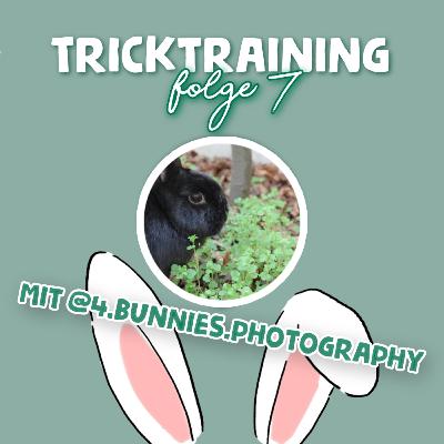 Kaninchen TRICKS beibringen 🐇✨- mit @4.bunnies.photography // S3 Folge 7 // Lauscher auf! Kaninchen TRICKS beibringen 🐇✨- mit @4.bunnies.photography // S3 Folge 7 // Lauscher auf!