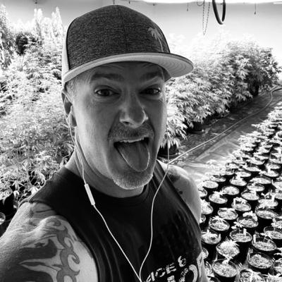 Oklahoma Greenrush intro