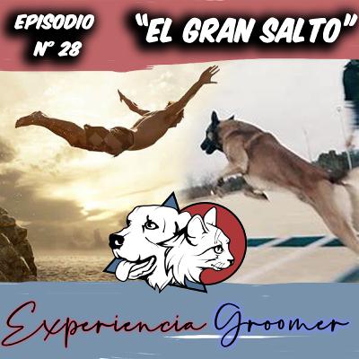 Episodio N°28 | Cuando Dar el Gran "SALTO"