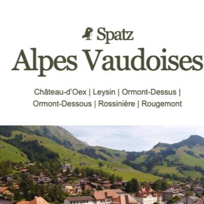 Un nouveau média débarque également sur Leysin