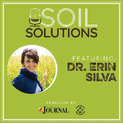 How Soil Health Sustainability Helps Producers Build for the Future feat. Erin Silva, Ph.D.