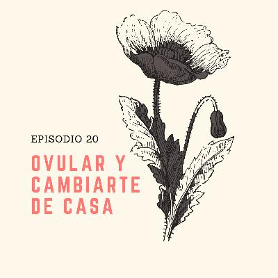 20 Ovular y cambiarte de casa