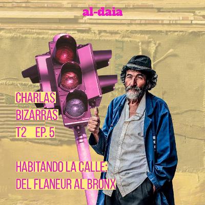 T2E5. Habitando la calle: del Flaneur al Bronx