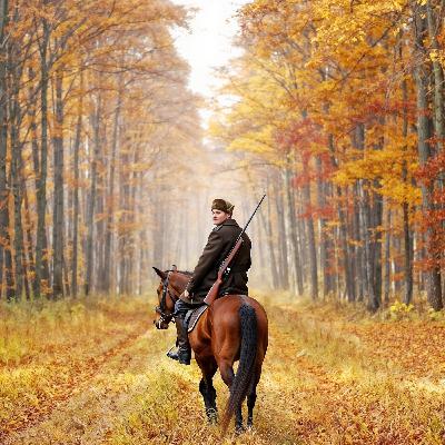 Не видно птиц… Иван Бунин