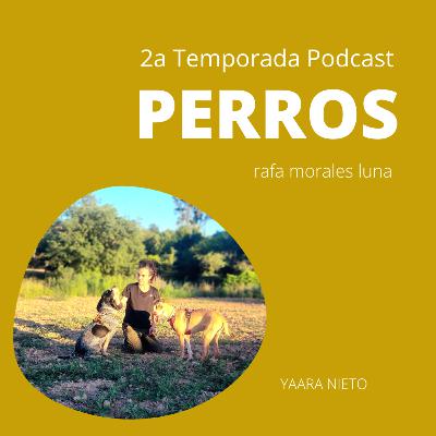 YAARA NIETO - BIENESTAR ANIMAL - LA LEY