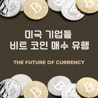미국 기업들 비트 코인 매수 유행 161화
