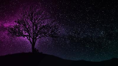 VoryMaxX - echo in my bones edm vocal 2025