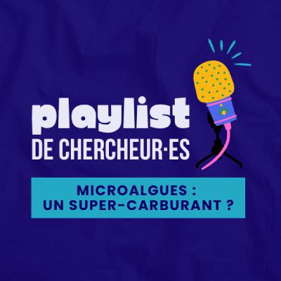 Peut-on faire voler un avion avec des algues ?