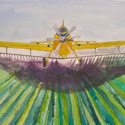 #51 - Onde nascem os agrotóxicos